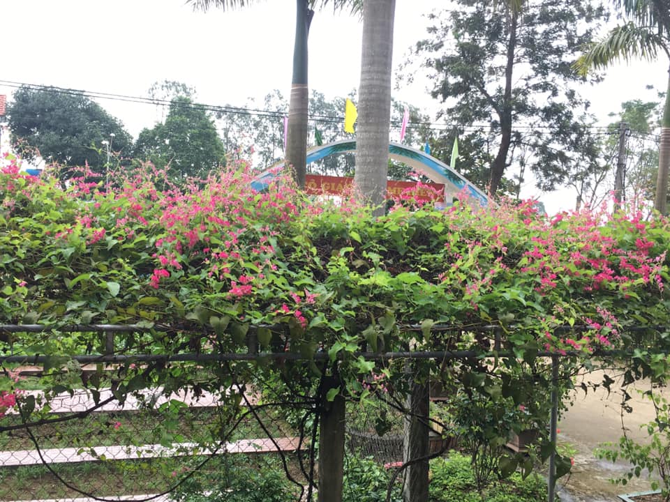 127524029 1549297455258265 4791616057982855979 n