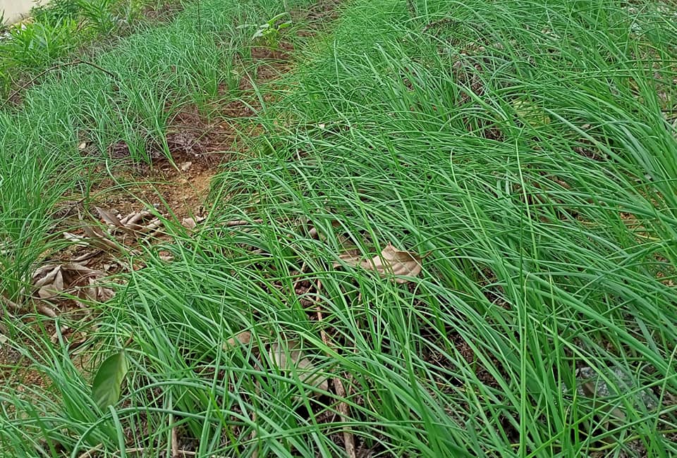 129367341 466168861020429 5683003051463616651 n