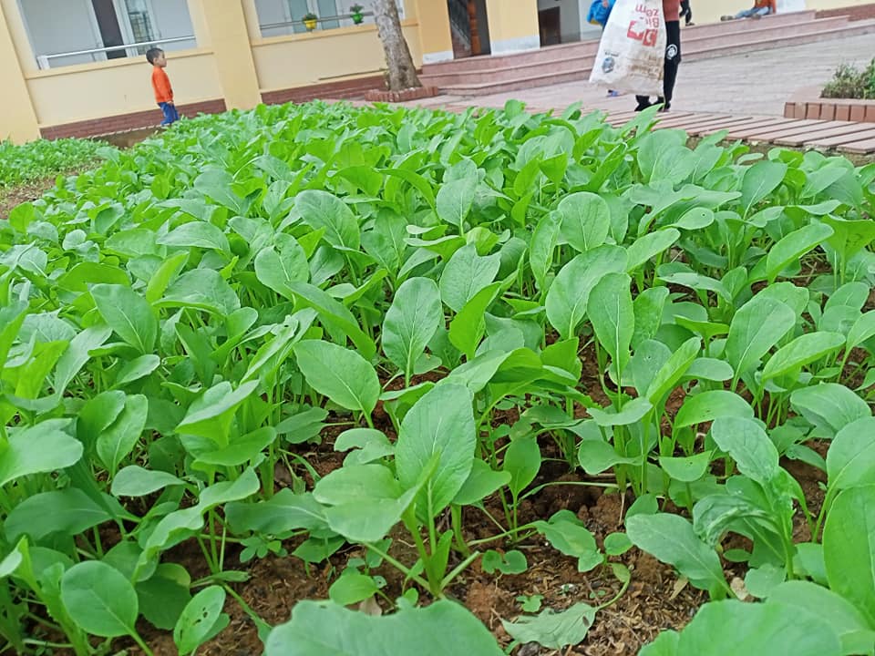 129493340 466168657687116 5065985705700577440 n